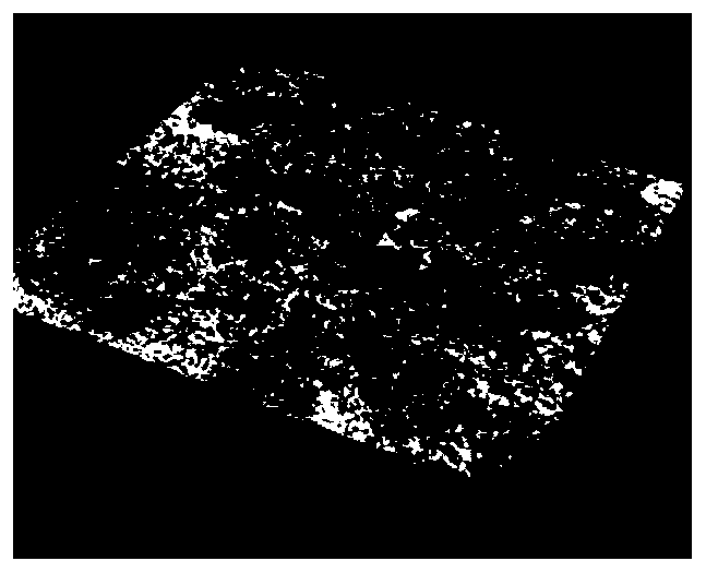 Method for testing hydrogen sulfide stress corrosion resistance of oil well pipe