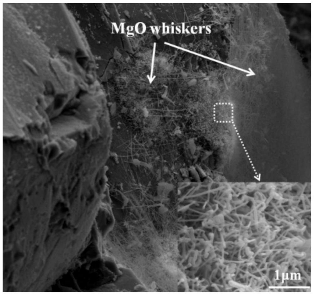 Preparation method of macrocrystalline magnesia with low silicon dioxide content