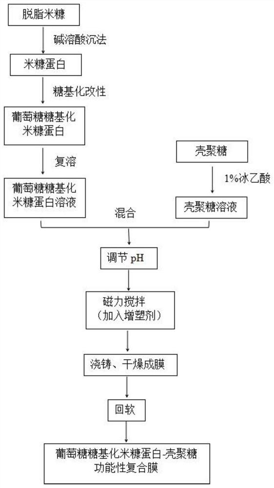 Glucose glycosylation rice bran protein-chitosan functional composite membrane and preparation method thereof