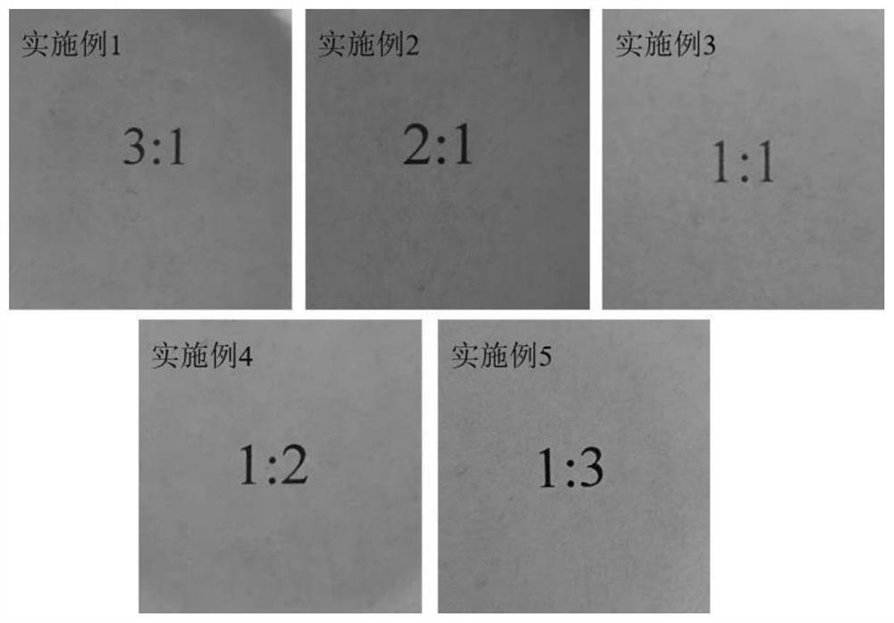 Glucose glycosylation rice bran protein-chitosan functional composite membrane and preparation method thereof