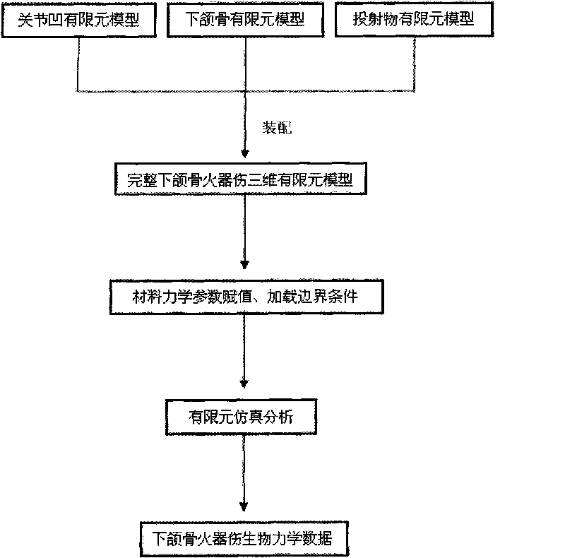 Mandible firearm wound simulation method