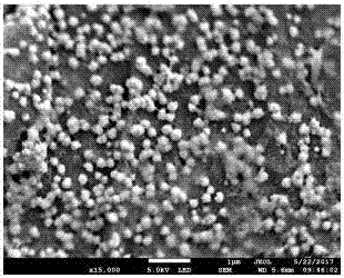 Novel non-enzymatic glucose sensor