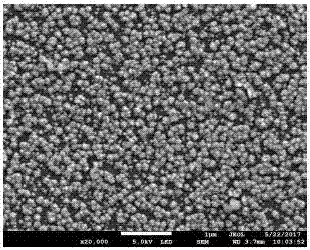 Novel non-enzymatic glucose sensor