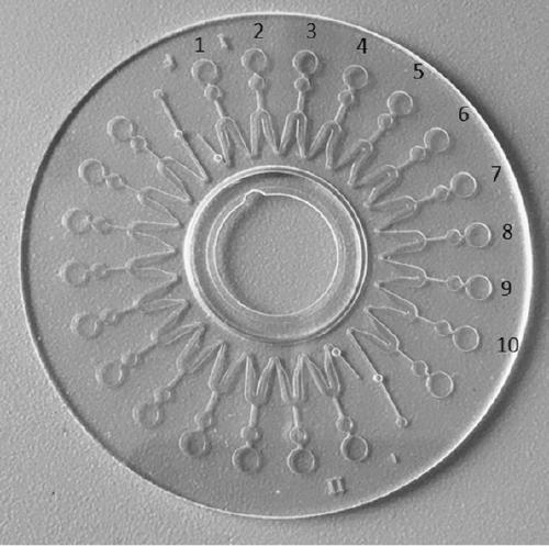 High-flux micro-fluidic chip for detecting pathogeny of epidemic disease of respiratory tract of pigs and detection method