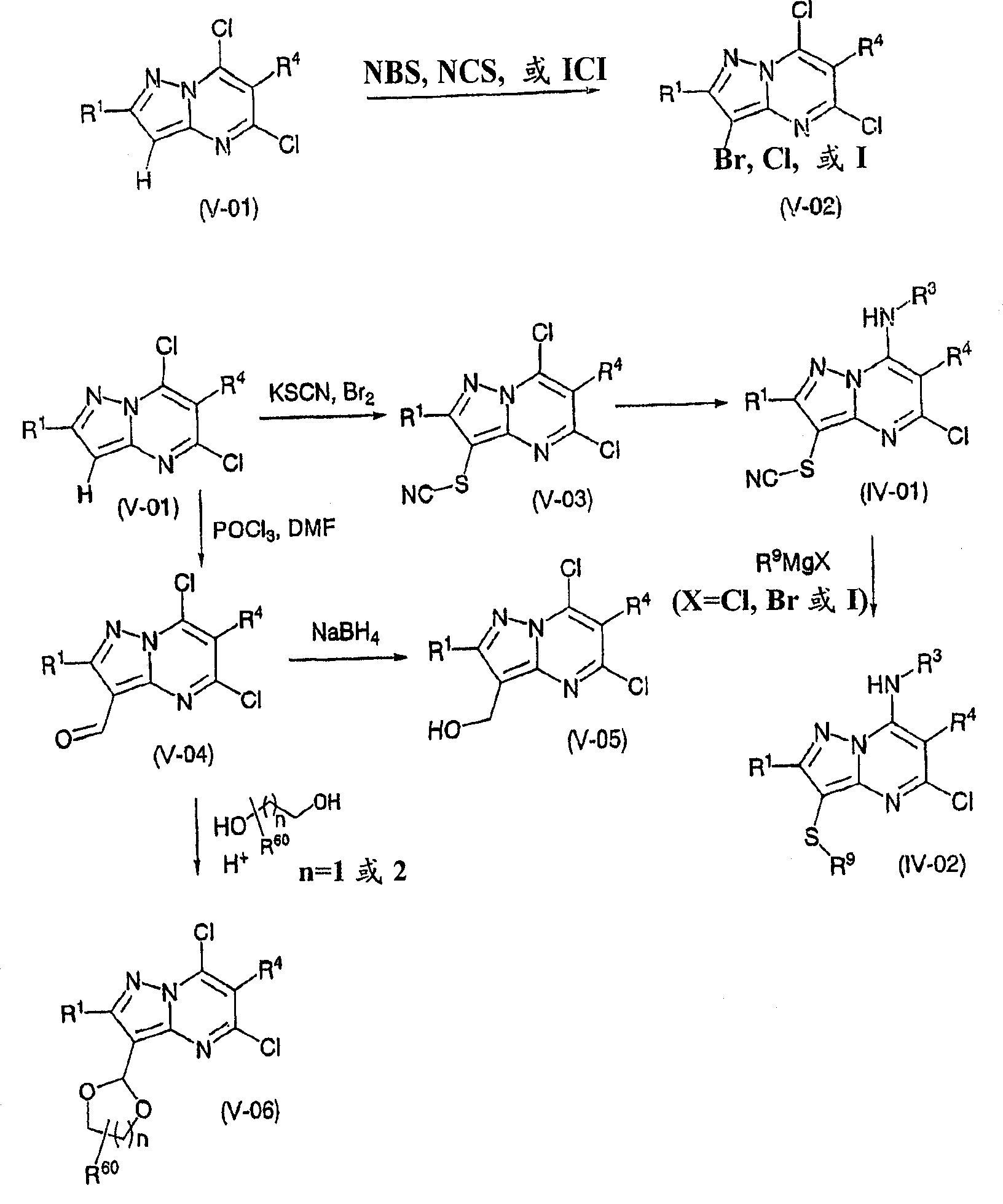 Pyrazolo 1,5-a pyrimidine derivatives