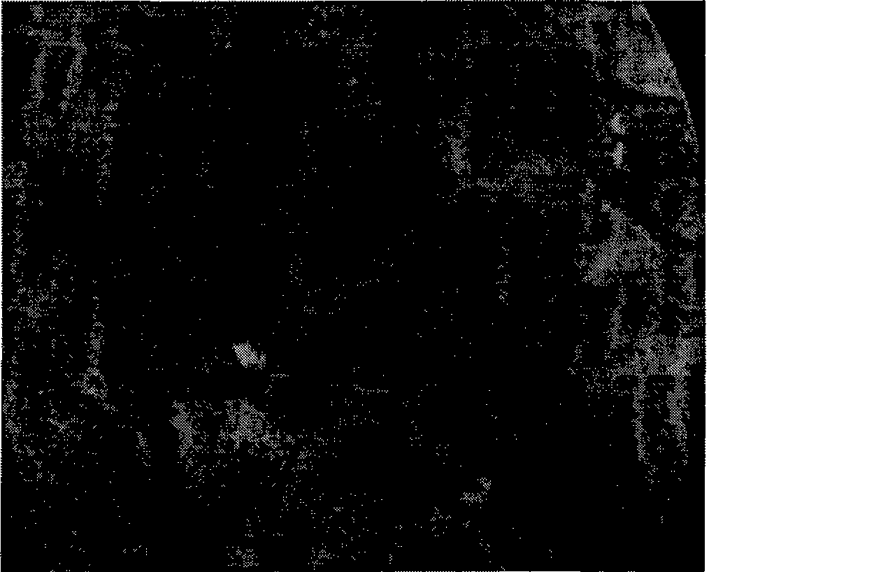 Alloying technique for semiconductor chip Au-Si solder