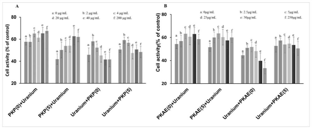 Application of rhizoma polygonati in preparation of medicine for preventing and treating low-dose or/and chronic uranium exposure