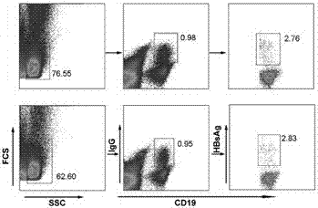 A kind of bispecific recombinant anti-hbsag antibody, its preparation method and use