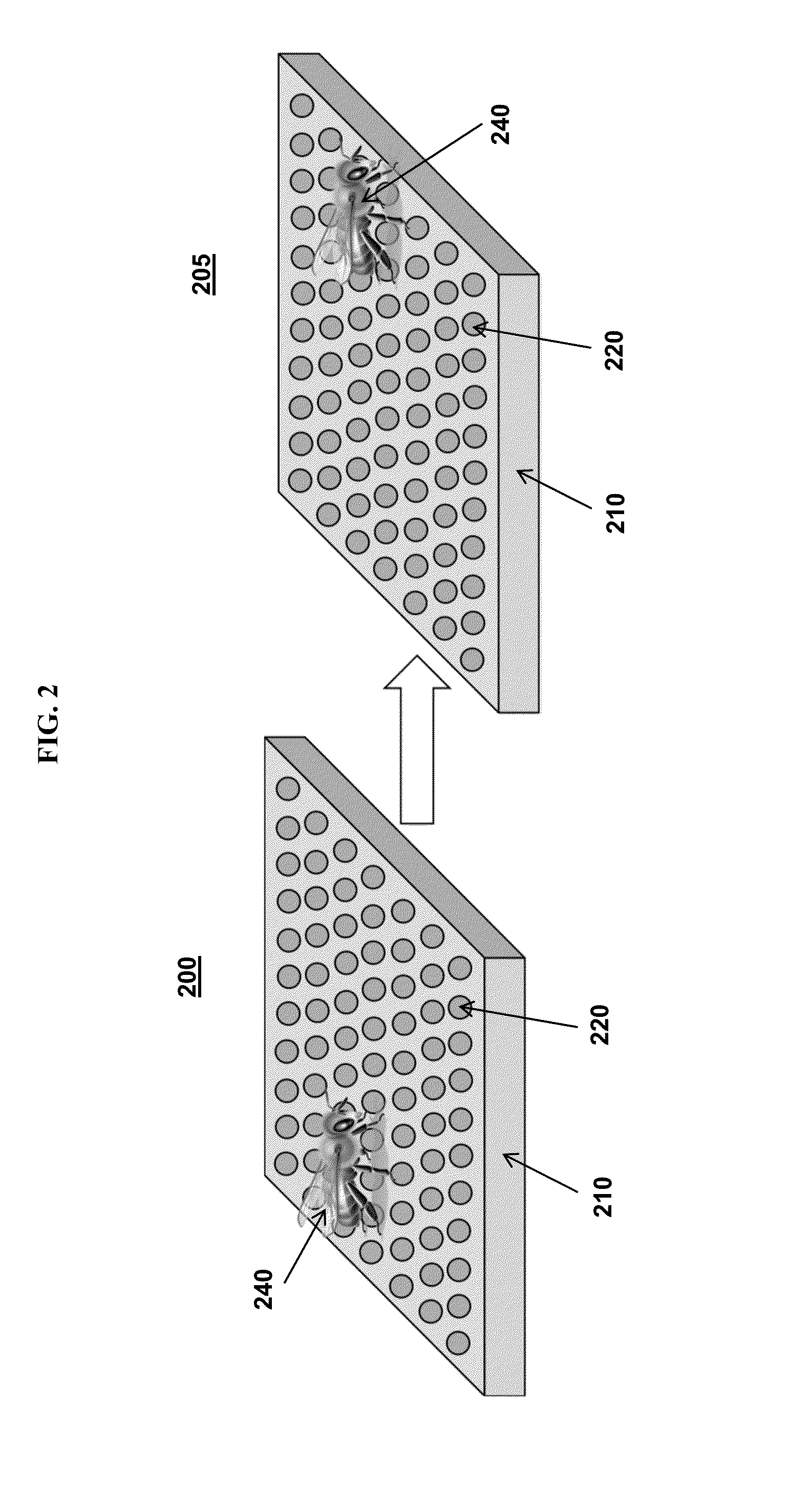 Segmented copolymer compositions and coatings incorporating these compositions