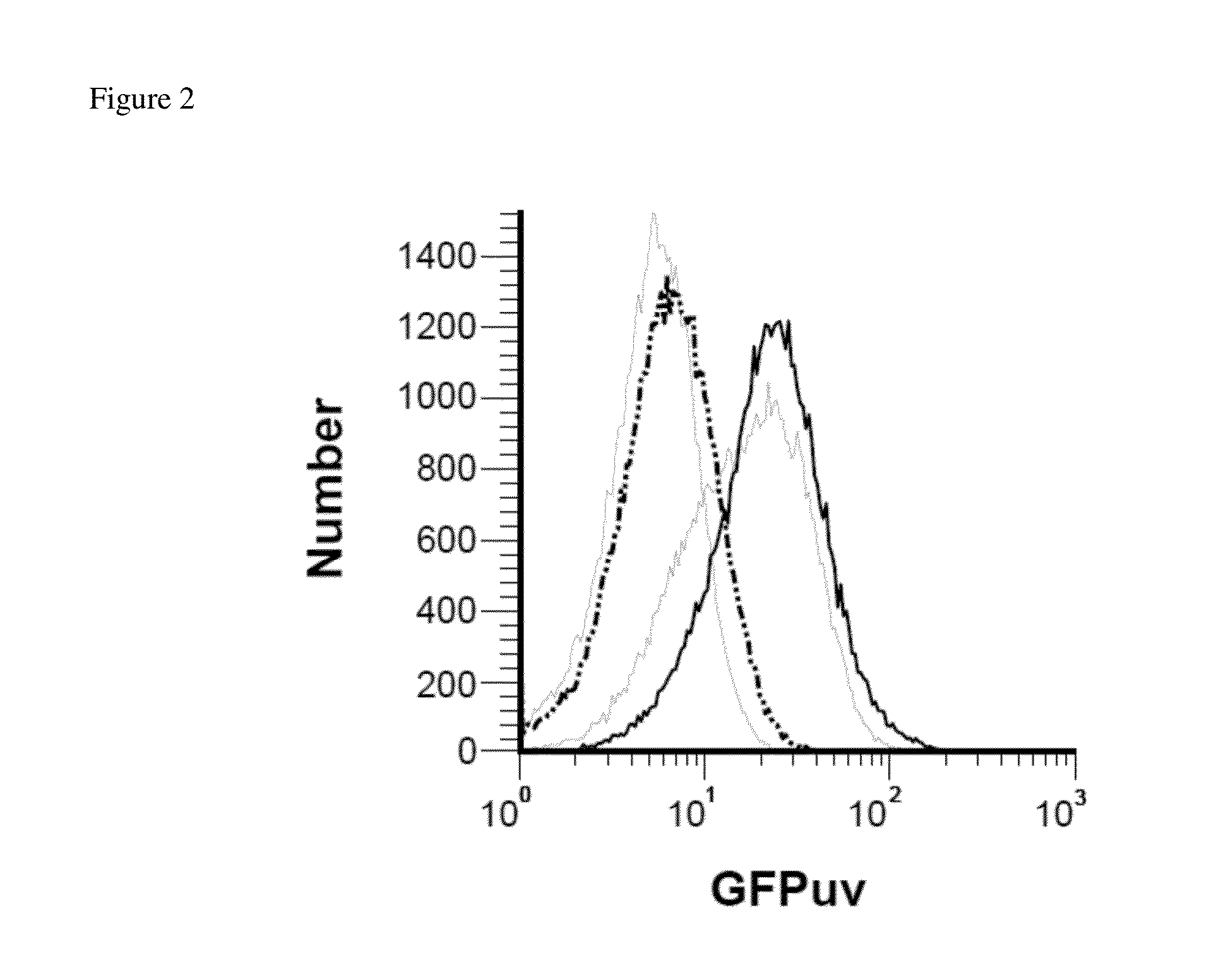 Bacterial live vector vaccines expressing chromosomally-integrated foreign antigens