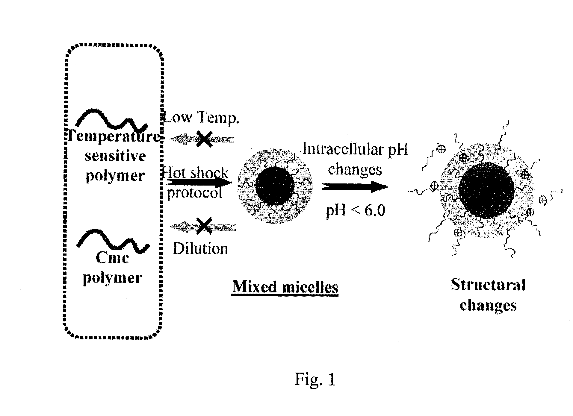 Stable micelles formed with diblock copolymers of critical micelle concentration copolymer and temperature-sensitive copolymer