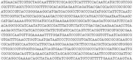 A kind of recombinant vaccinia virus vaccine for treating bovine brucellosis and preparation method thereof