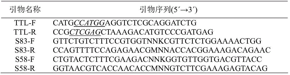 Lipase mutant derived from Talaromyces thermophilic and its application