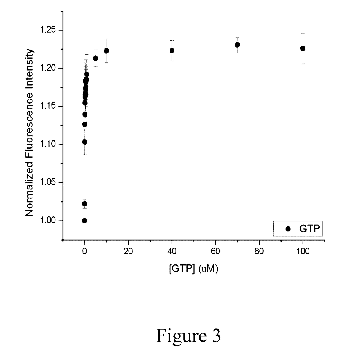 Signal amplification methods for the imaging of protein synthesis and neurotransmitter transport