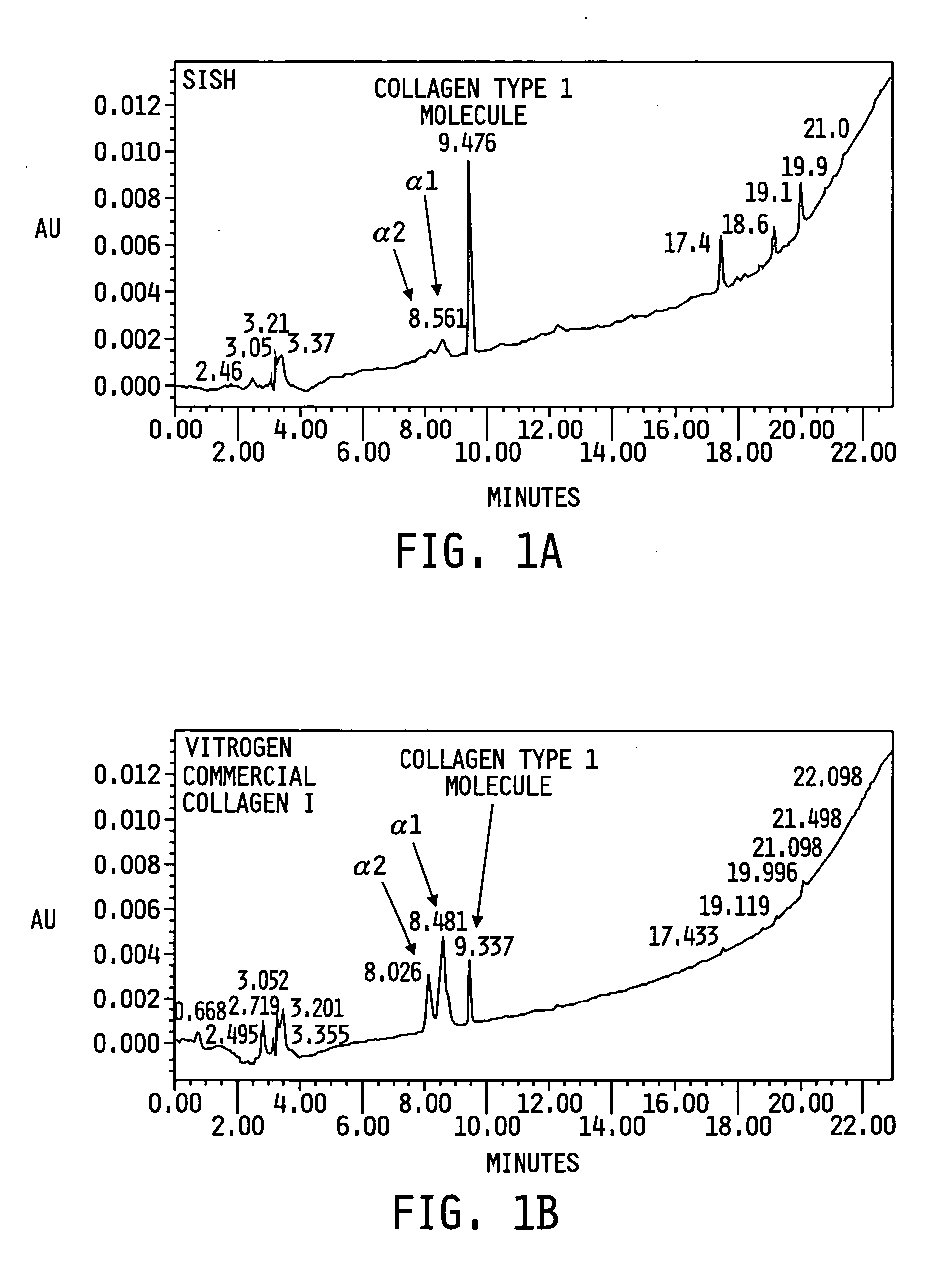 Self-assembling protein matrix prepared from natural extracellular matrices