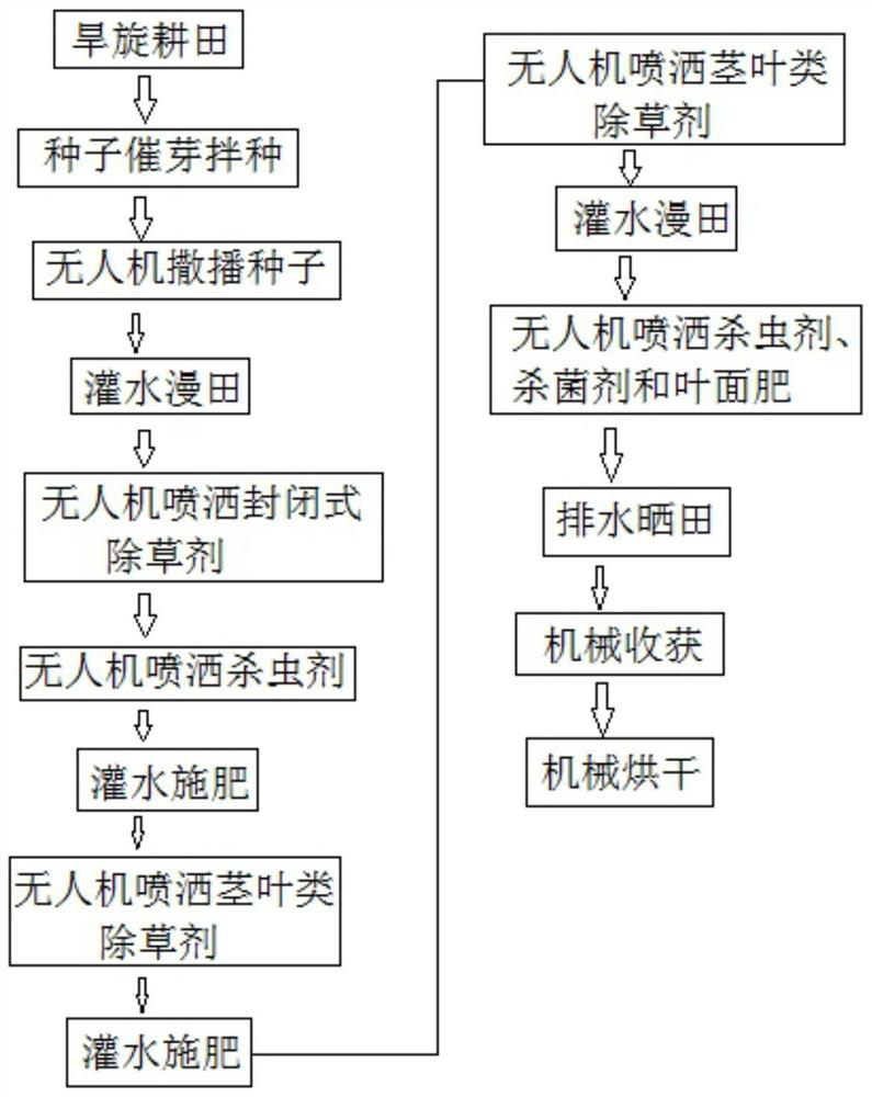 Method for producing commercial rice