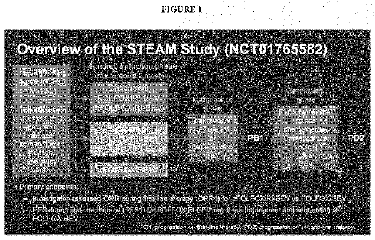 Method of predicting response to therapy by assessing tumor genetic heterogeneity