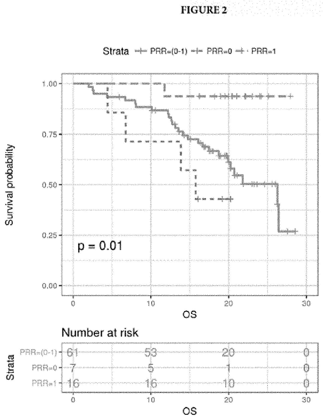 Method of predicting response to therapy by assessing tumor genetic heterogeneity