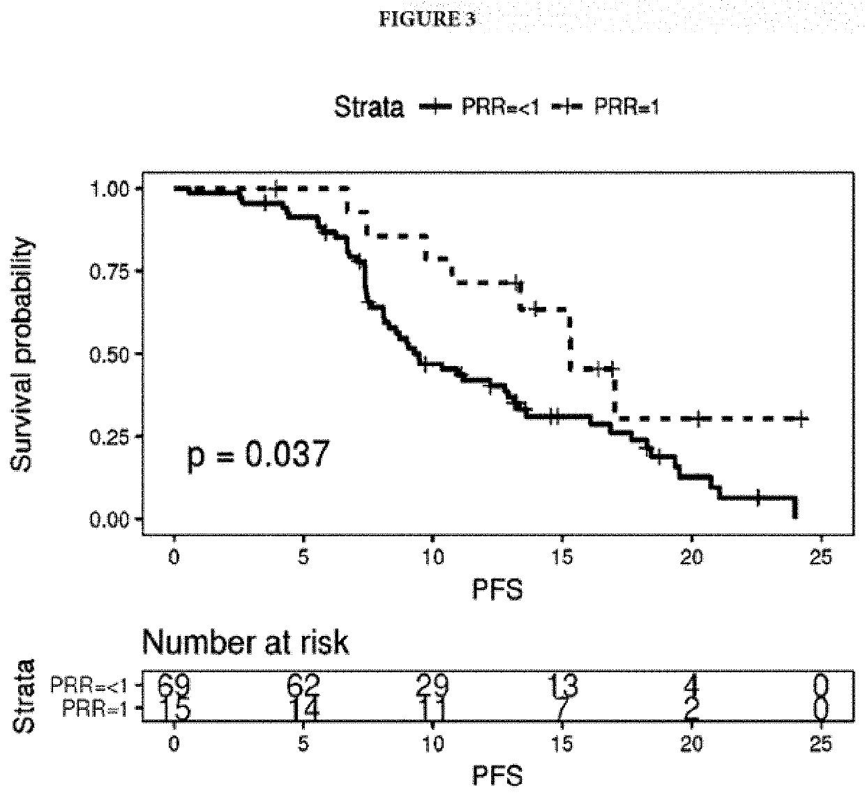 Method of predicting response to therapy by assessing tumor genetic heterogeneity