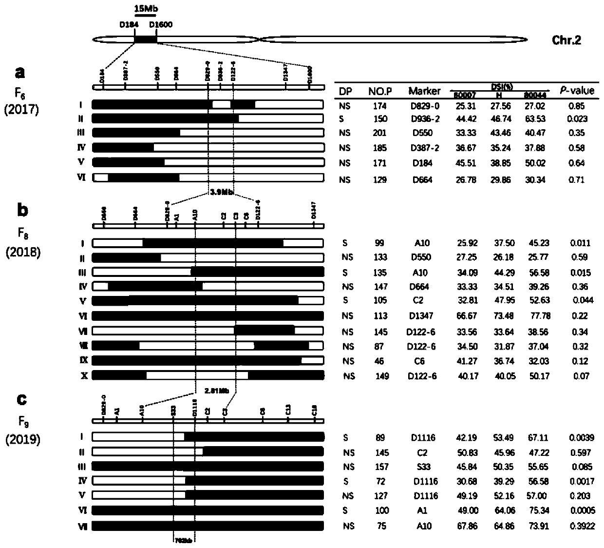 Linkage molecular markers of maize rough dwarf disease resistance main-effect QTL and application of linkage molecular markers