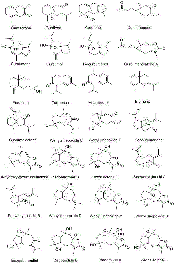 New sesquiterpene compound as well as preparation method and medical application thereof