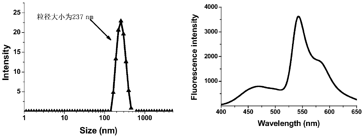 Multifunctional Organic Fluorescent Nanoparticles Based on Diketopyrrolopyrrole Compounds and Tetraphenylethylene Compounds and Their Preparation and Application