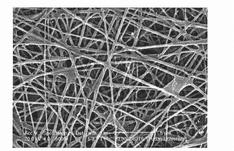 Electrostatic spinning method of low molecular weight collagen peptide and chitosan oligosacchaides biological membrane