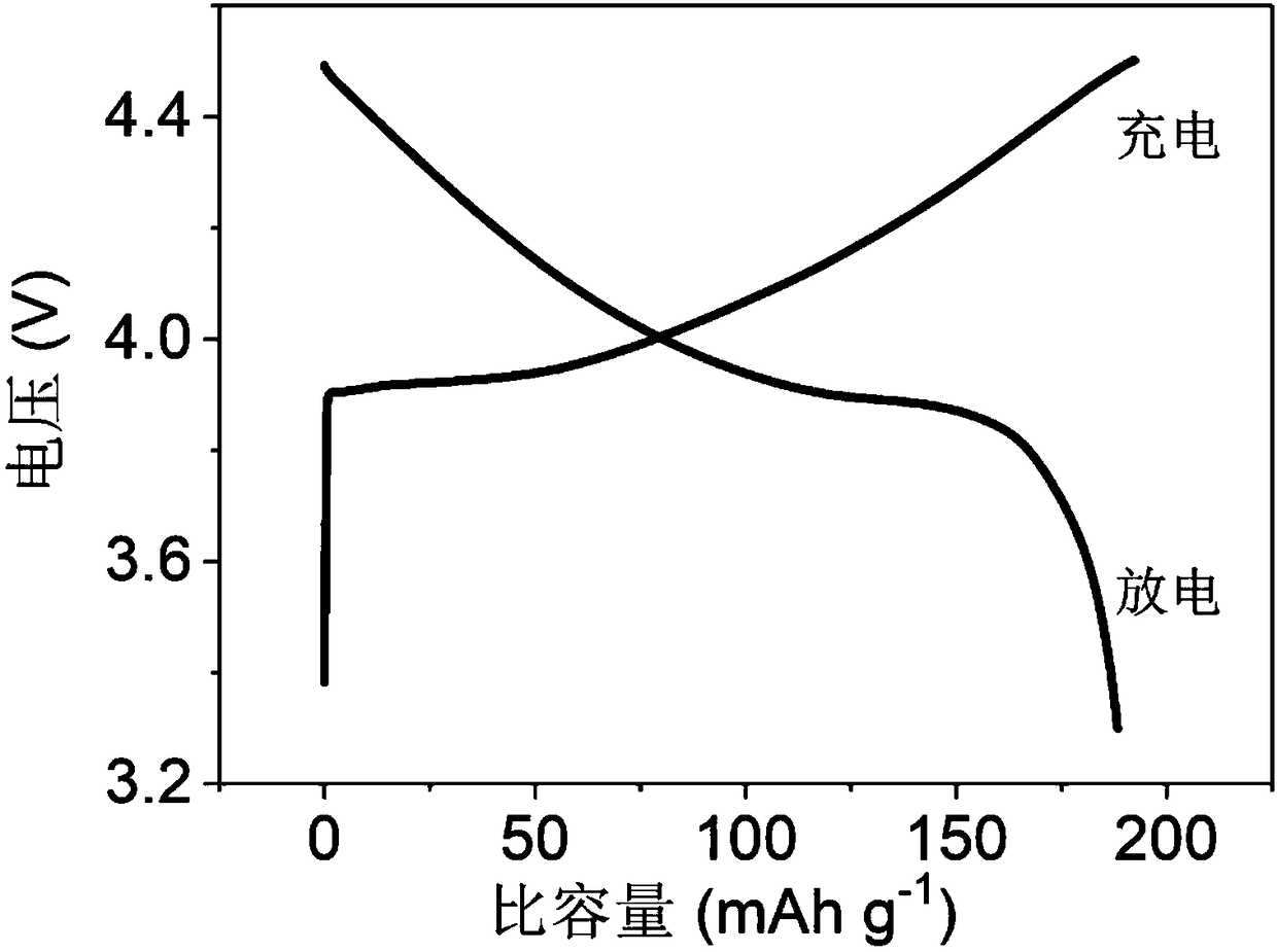 Lithium ion battery electrode and preparation method thereof