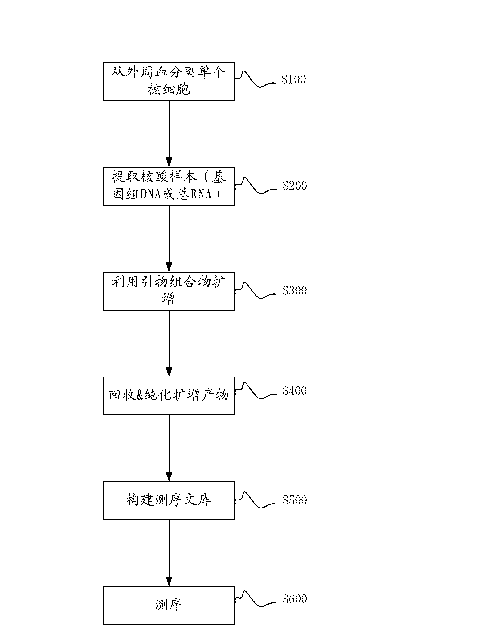 Primer compositions for the amplification of T cell receptor beta chain CDR3 coding sequences and uses of the primer compositions