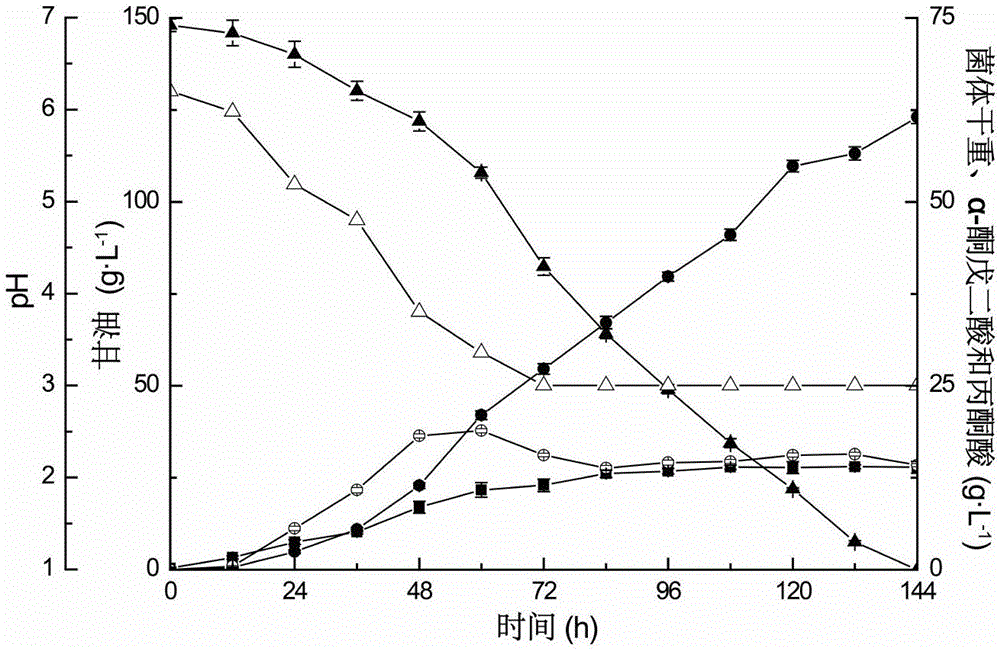 Fermenting method for joint production of alpha-ketoglutaric acid and pyruvic acid