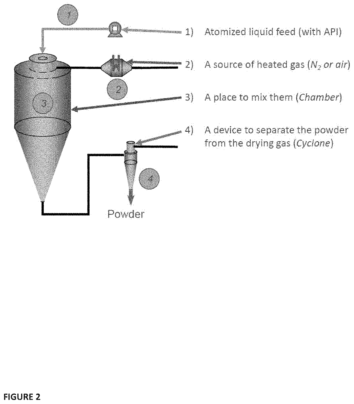 Plasma fractionation utilizing spray-dried human plasma