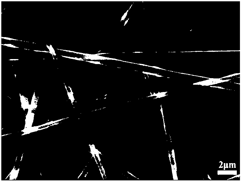 Polylactide fibrous membrane coated with glucan-g-poly(L-lysine)-VAPG/nucleic acid compound and preparation method