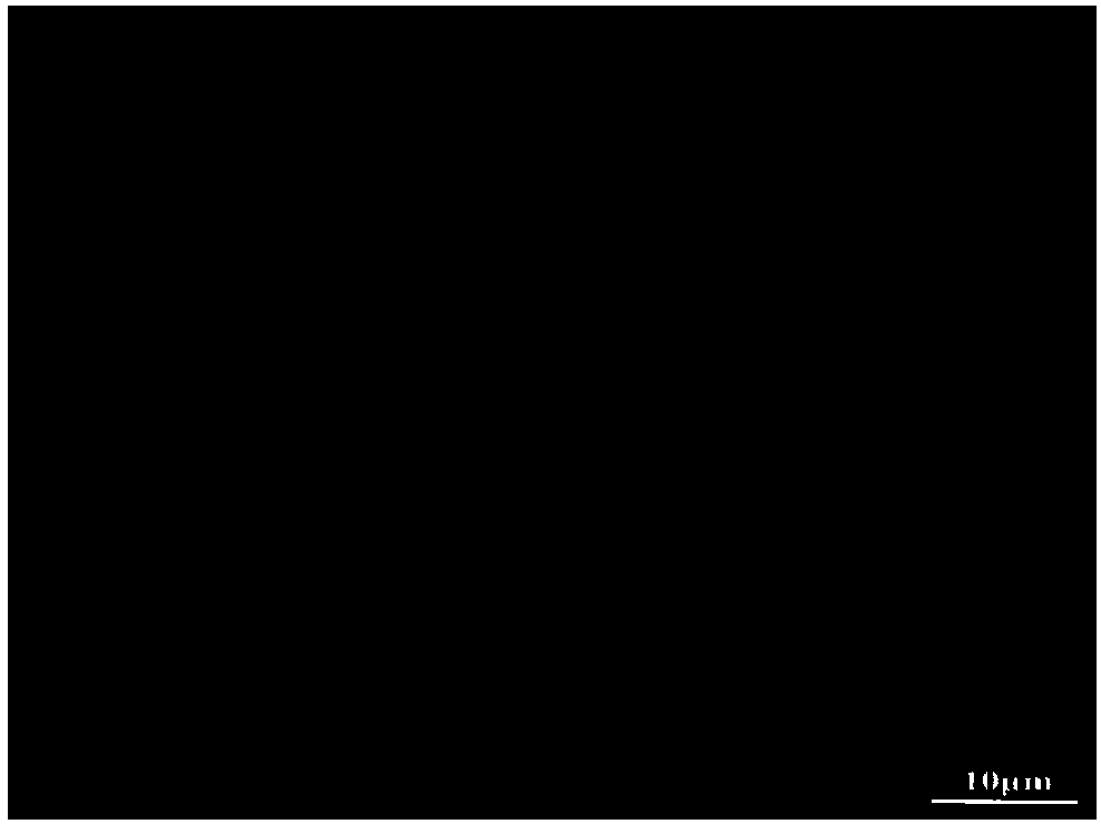 Polylactide fibrous membrane coated with glucan-g-poly(L-lysine)-VAPG/nucleic acid compound and preparation method