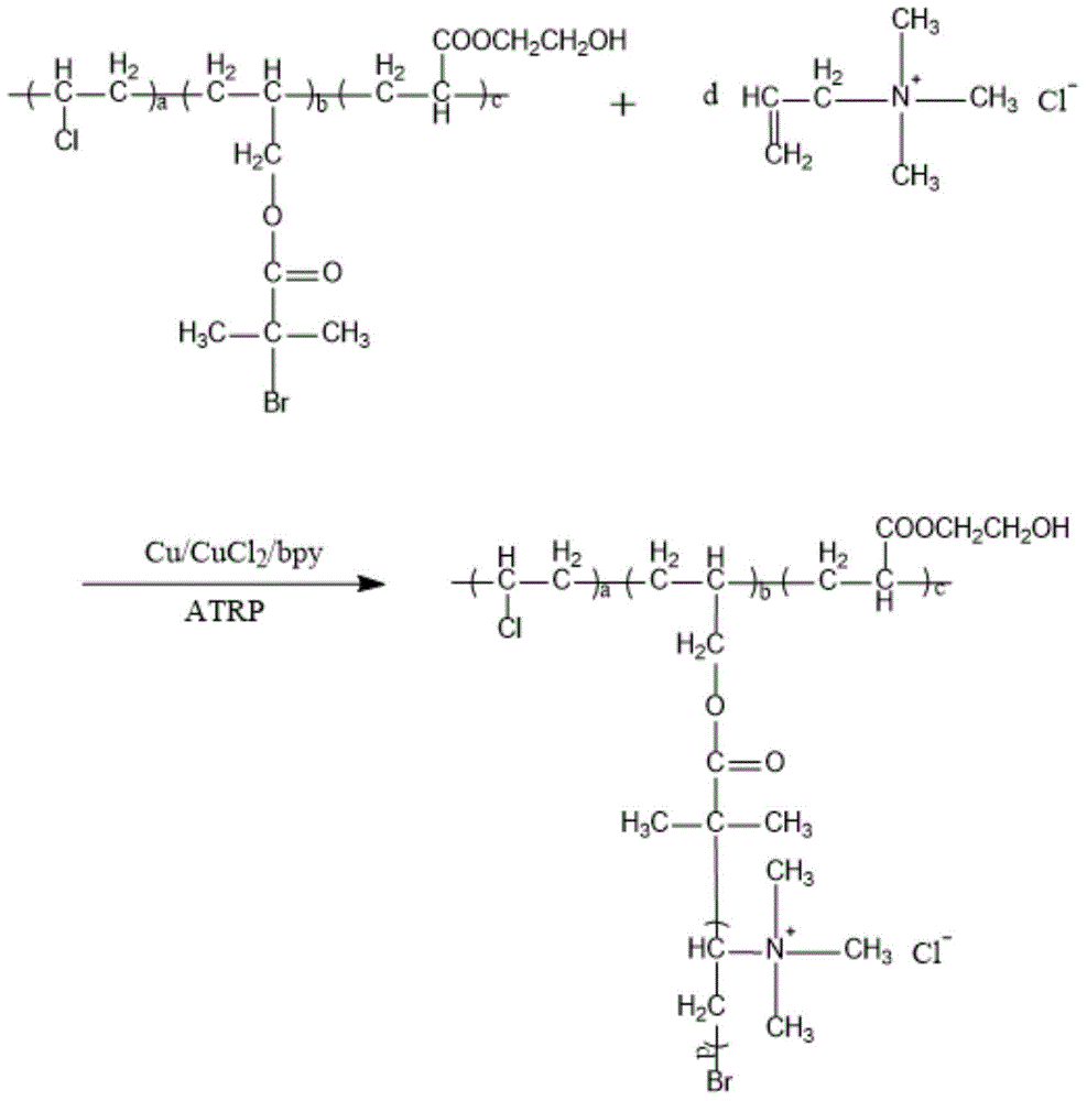 Cationic functional vinyl chloride polymer and preparation method thereof