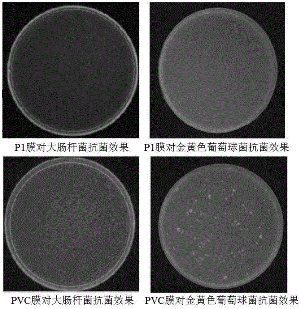 Cationic functional vinyl chloride polymer and preparation method thereof