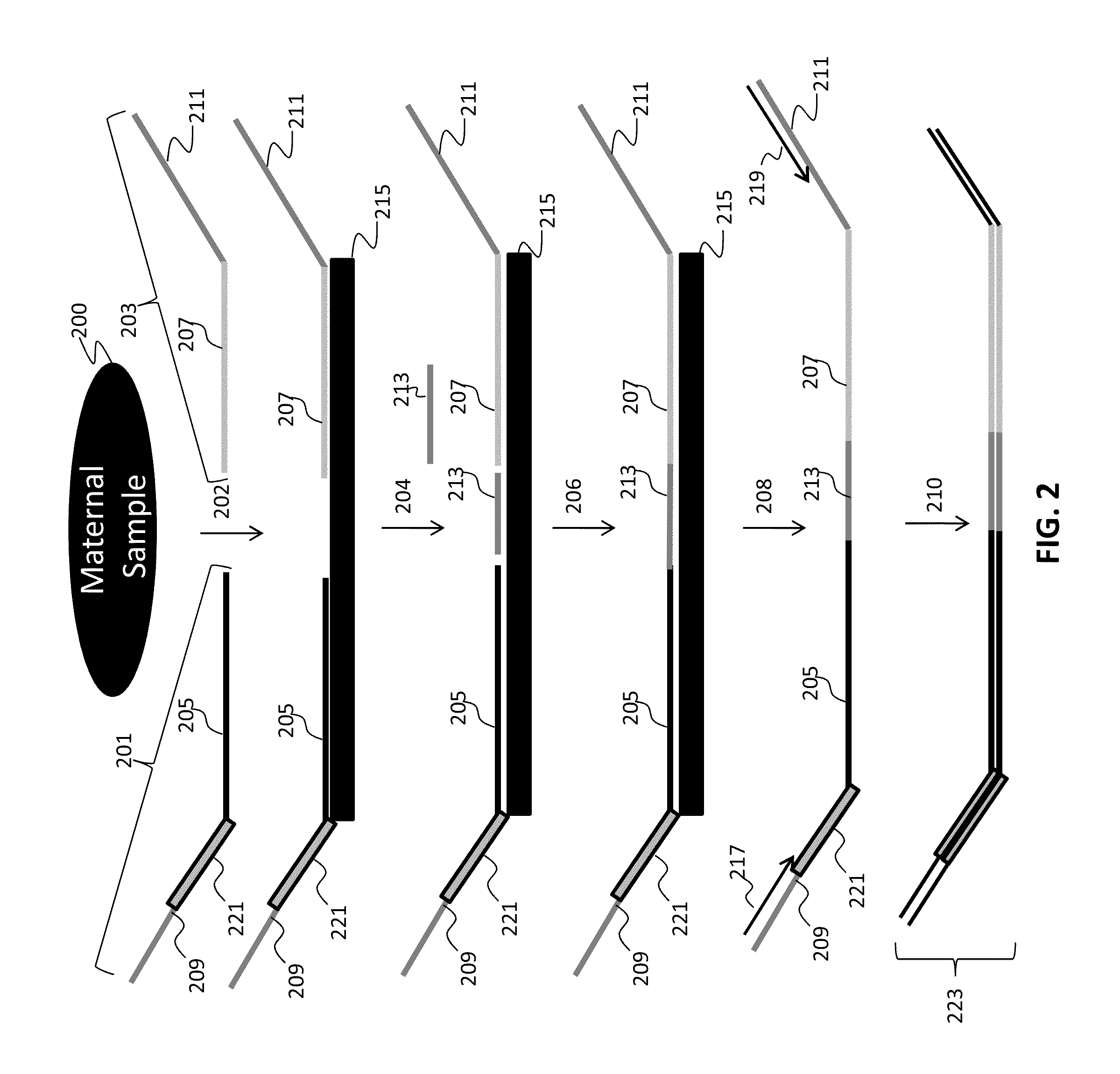 Assay systems for genetic analysis