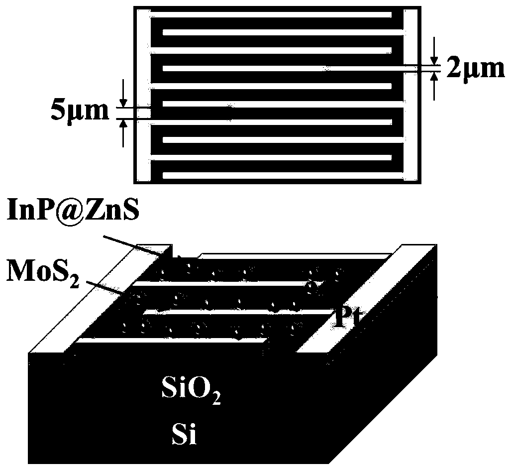 MoS2 phototransistor capable of improving photoelectric detection performance and manufacturingmethod thereof