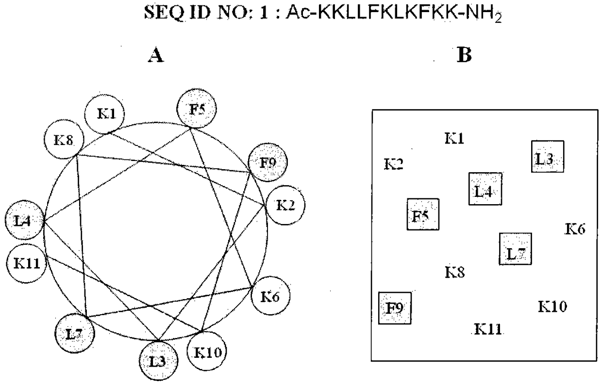 A kind of antimicrobial peptide and its application