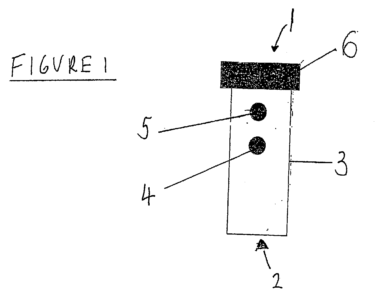 Detection of pregnancy