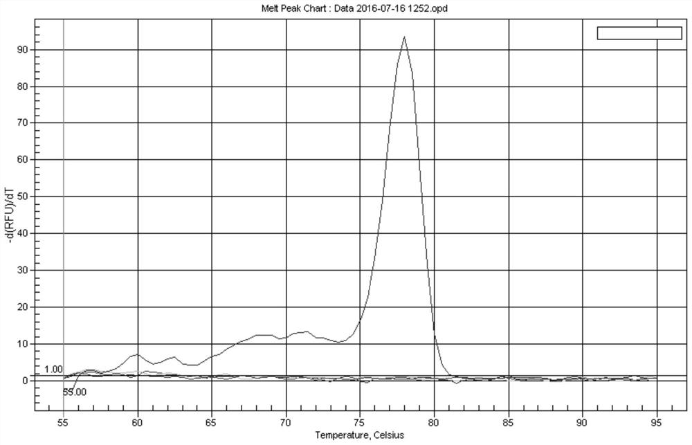 A kind of test kit and application thereof for detecting the serum-specific miRNA of getting angry