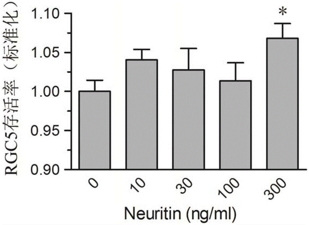 A type Ⅱ adeno-associated virus carrying neuritin gene and its application in repairing optic nerve damage