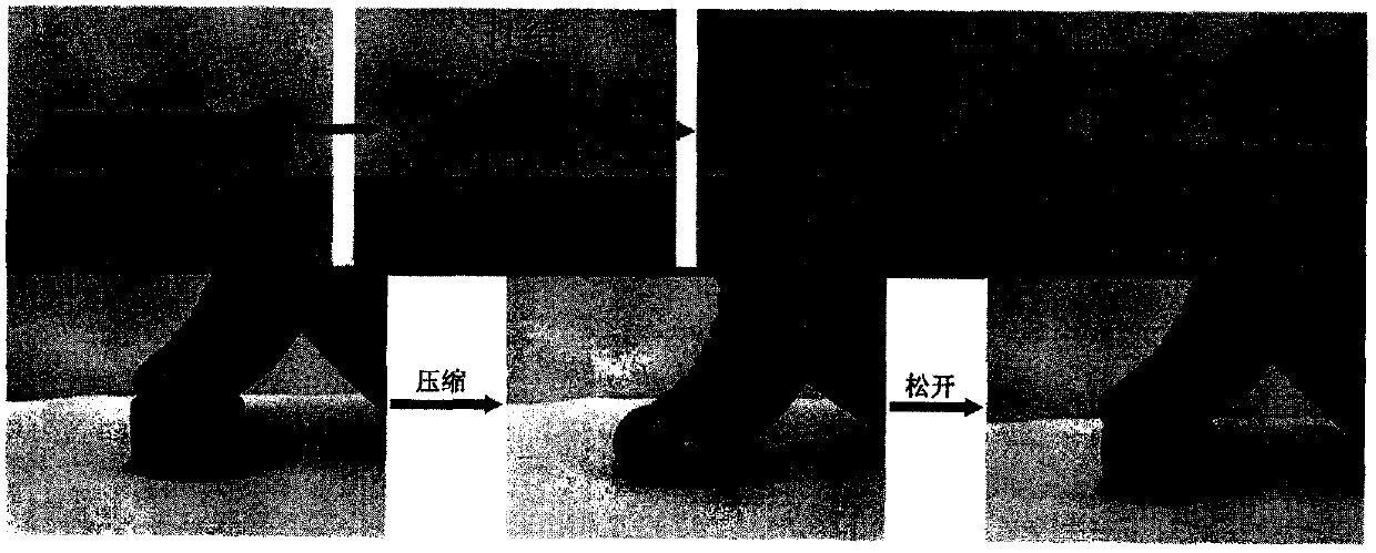 High-strength self-repair three-network hydrogel preparation method