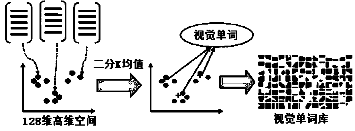 Facial image identification method based on word bag model