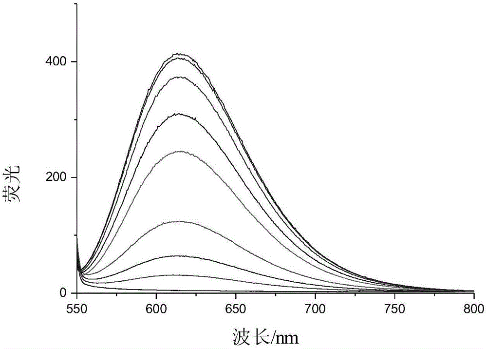 Fluorescent probe and preparation method thereof