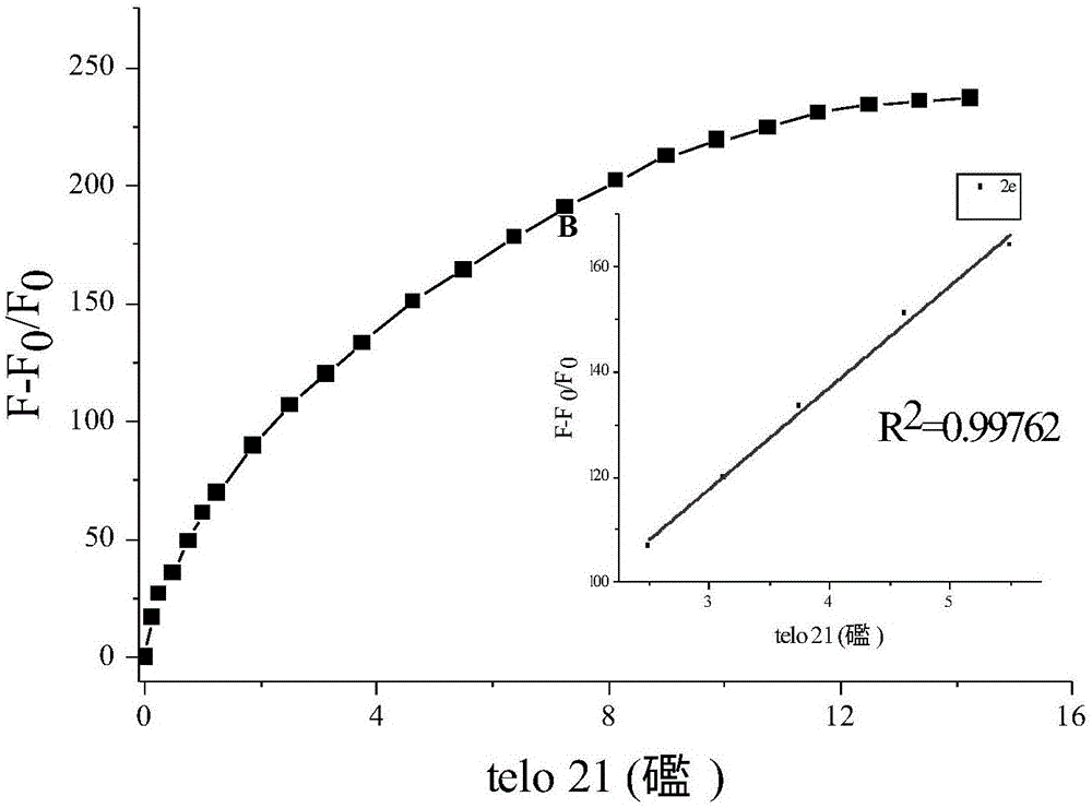 Fluorescent probe and preparation method thereof