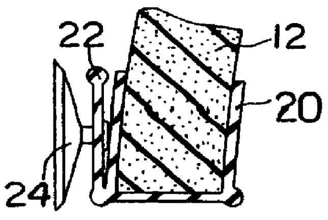 Infant bath toy mounting device