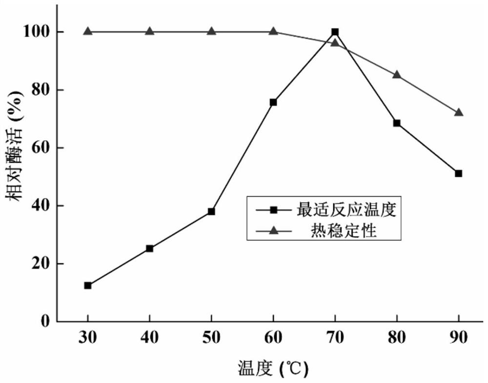 Endoglucanase gene, endoglucanase, and preparation method and application of endoglucanase