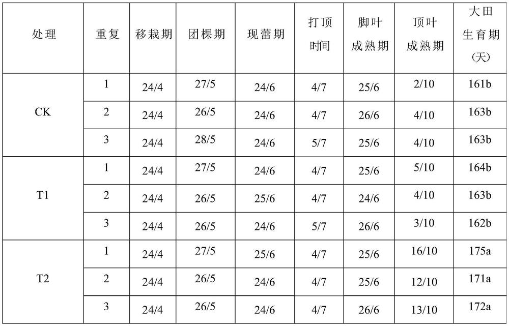 A water and fertilizer integrated drip irrigation method suitable for dry season tobacco fields