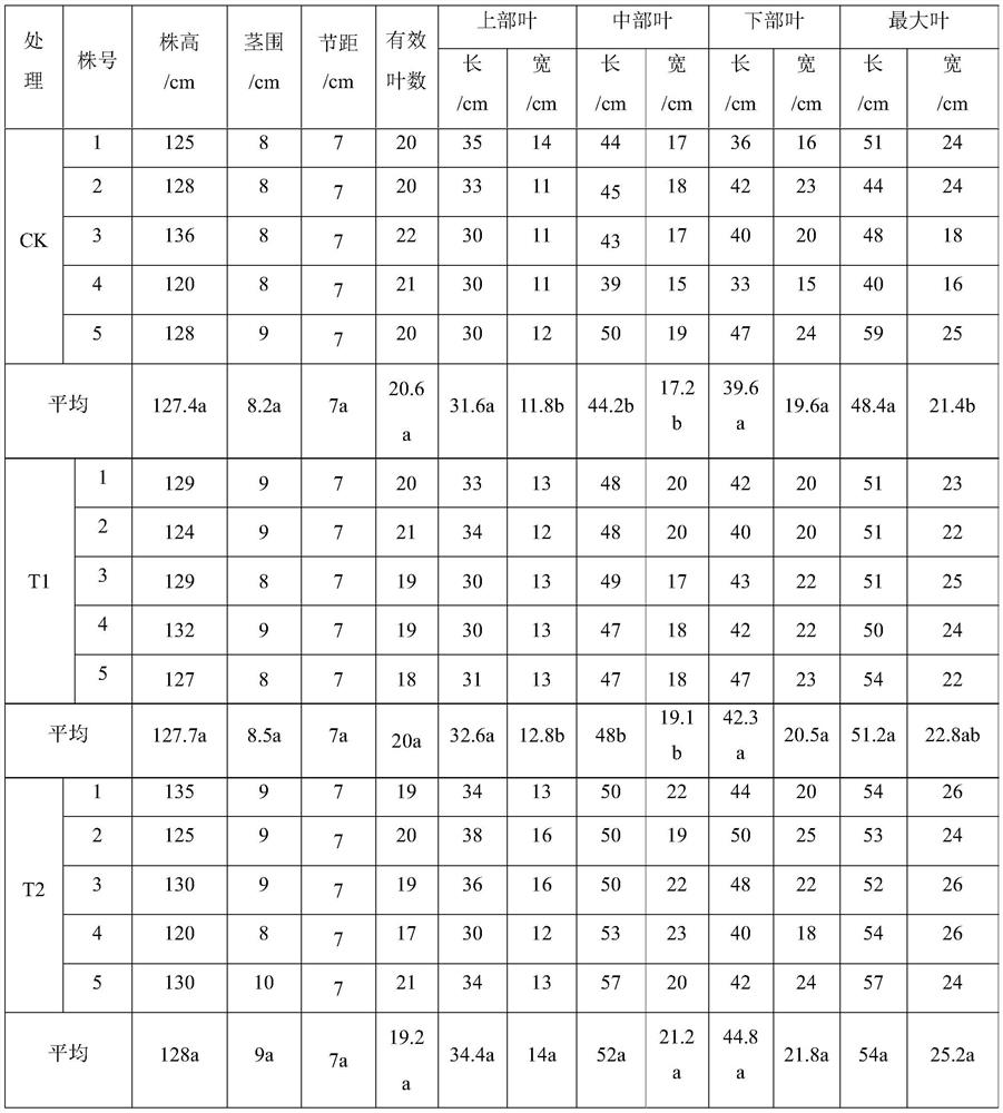 A water and fertilizer integrated drip irrigation method suitable for dry season tobacco fields