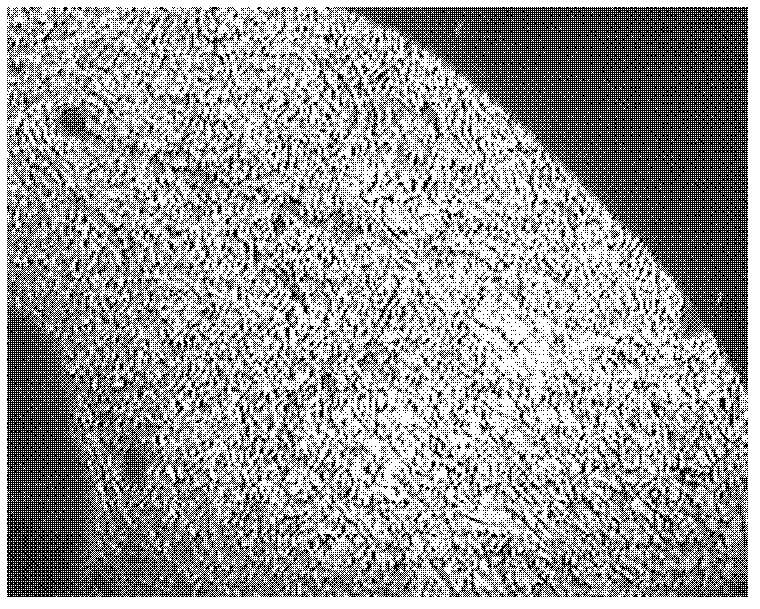 Novel phosphorus-containing thermotropic liquid crystal copolyester and preparation method and application thereof